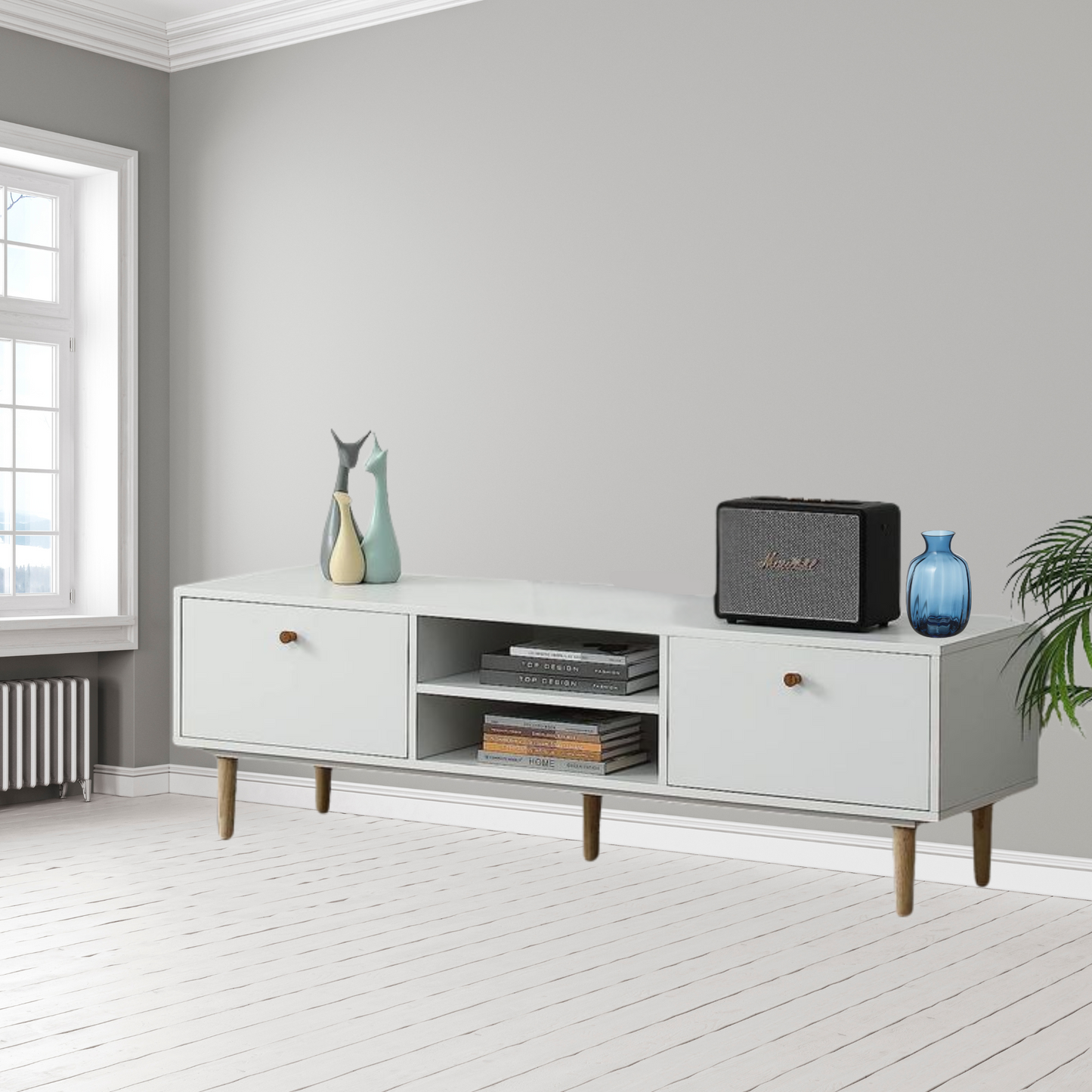 Modern Minimalist TV Stand